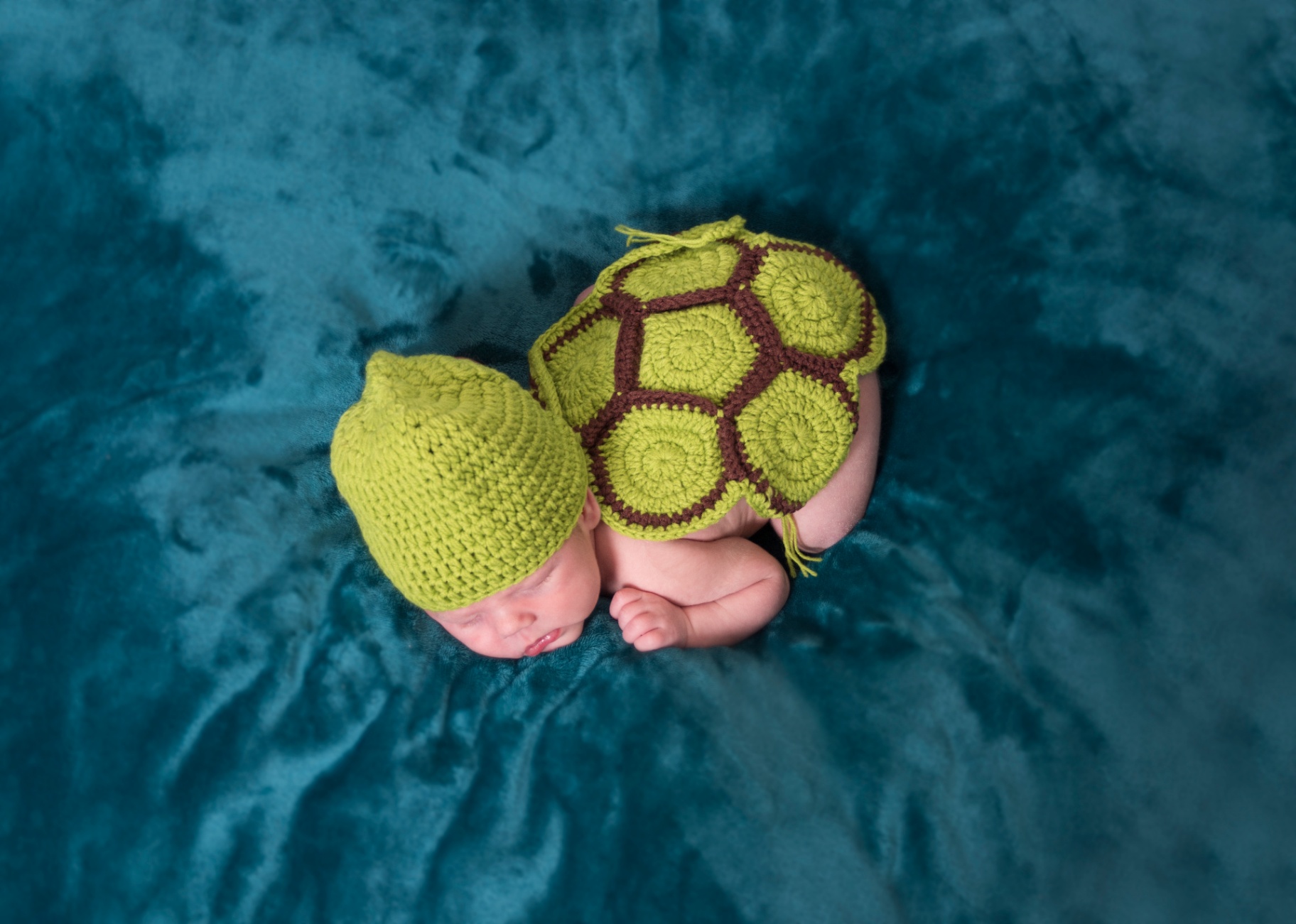 Newborn Benji dressed in a knitted green turtle costume on a teal velvet backdrop
